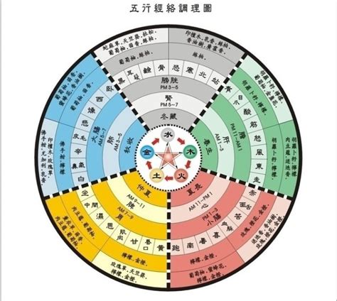 山醫命卜相|中國「五術」——「山、醫、命、卜、相」